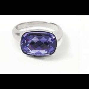Elegant Silver and Purple Ring